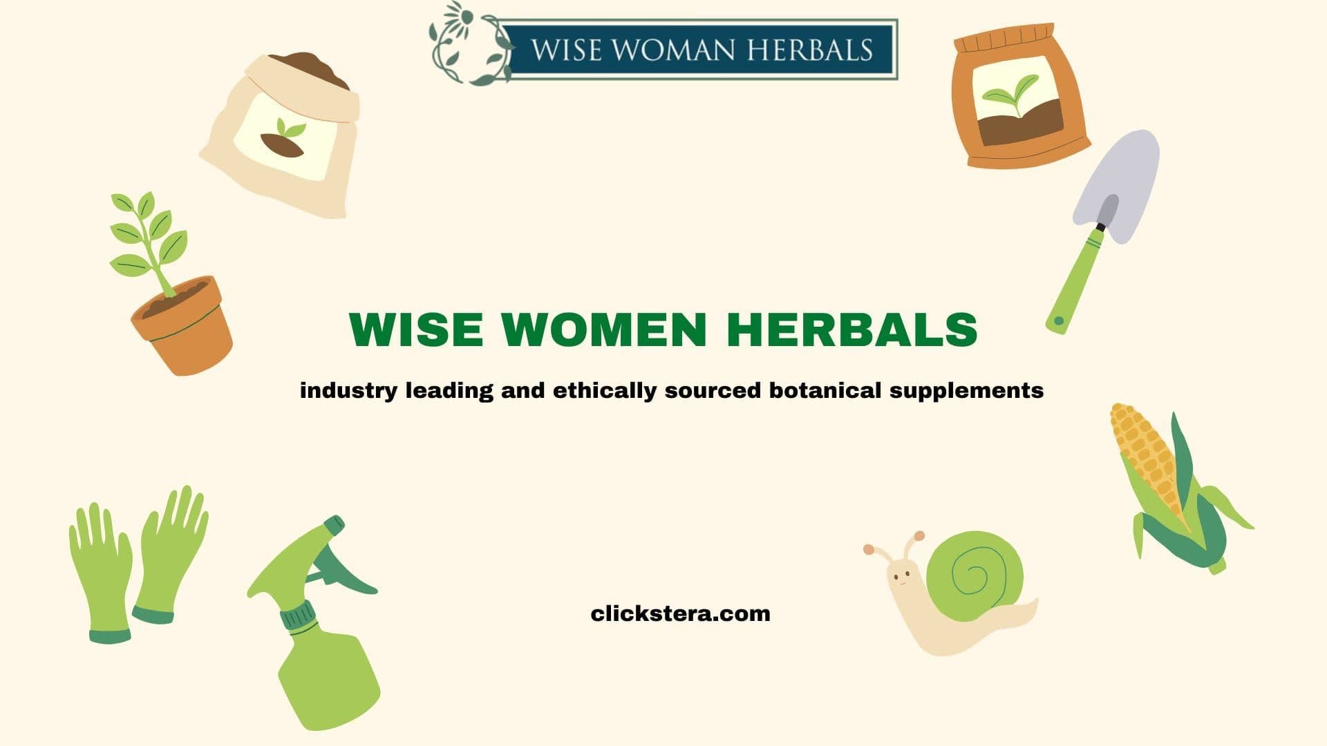 Wise Women Herbal – Doubling Sales with Optimized Advertising and Strategic Growth